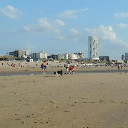 Nice Behind The Beach 赞德沃特